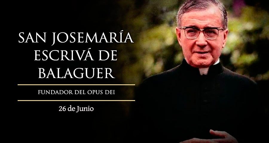 Jueves de la XII semana del Tiempo Ordinario